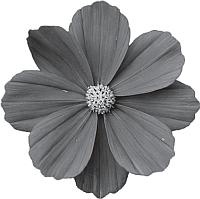 Иллюстрация к книге — Рассада. Лучше, чем у всех! Секреты, хитрости, подсказки умного садовода. Лунный календарь. Самый удобный и полезный [autogen_ebook_id39.jpg]