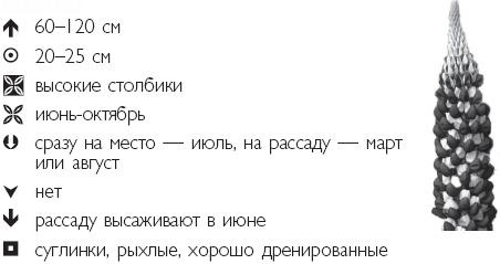 Иллюстрация к книге — Рассада. Лучше, чем у всех! Секреты, хитрости, подсказки умного садовода. Лунный календарь. Самый удобный и полезный [autogen_ebook_id40.jpg]