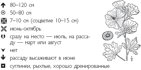 Иллюстрация к книге — Рассада. Лучше, чем у всех! Секреты, хитрости, подсказки умного садовода. Лунный календарь. Самый удобный и полезный [autogen_ebook_id41.jpg]