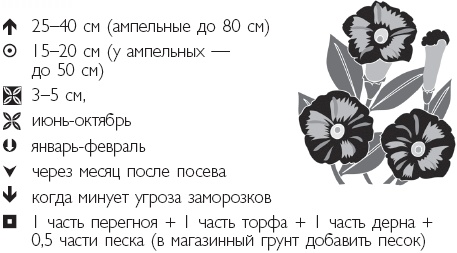 Иллюстрация к книге — Рассада. Лучше, чем у всех! Секреты, хитрости, подсказки умного садовода. Лунный календарь. Самый удобный и полезный [autogen_ebook_id42.jpg]