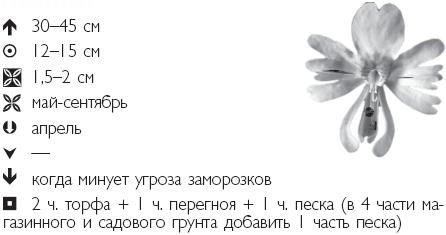 Иллюстрация к книге — Рассада. Лучше, чем у всех! Секреты, хитрости, подсказки умного садовода. Лунный календарь. Самый удобный и полезный [autogen_ebook_id46.jpg]