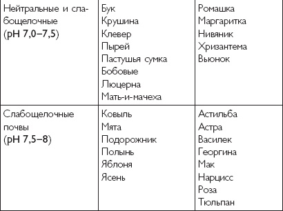 Иллюстрация к книге — Рассада. Лучше, чем у всех! Секреты, хитрости, подсказки умного садовода. Лунный календарь. Самый удобный и полезный [autogen_ebook_id9.jpg]