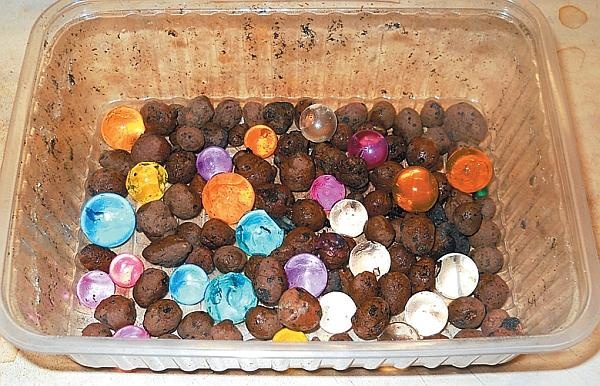 Иллюстрация к книге — Рассада. Лучше, чем у всех! Секреты, хитрости, подсказки умного садовода. Лунный календарь. Самый удобный и полезный [autogen_ebook_id96.jpg]