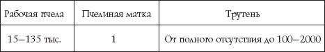 Иллюстрация к книге — Пчеловодство для начинающих [_29.jpg]