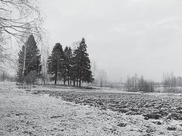 Иллюстрация к книге — Пчеловодство для начинающих [_290.jpg]
