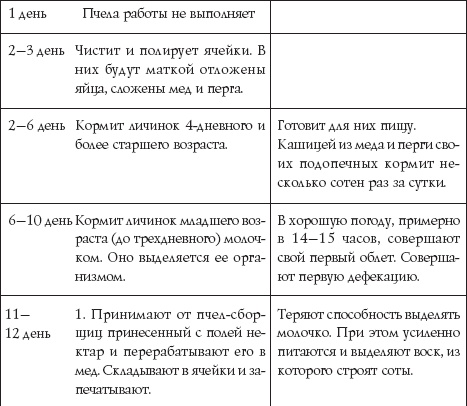 Иллюстрация к книге — Пчеловодство для начинающих [_34.jpg]