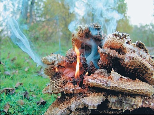 Иллюстрация к книге — Пчеловодство для начинающих [_343.jpg]