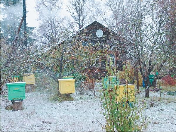 Иллюстрация к книге — Пчеловодство для начинающих [_346.jpg]