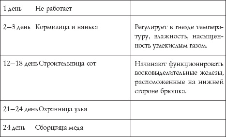 Иллюстрация к книге — Пчеловодство для начинающих [_36.jpg]