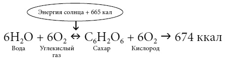 Иллюстрация к книге — Полный справочник пчеловода [i_031.jpg]