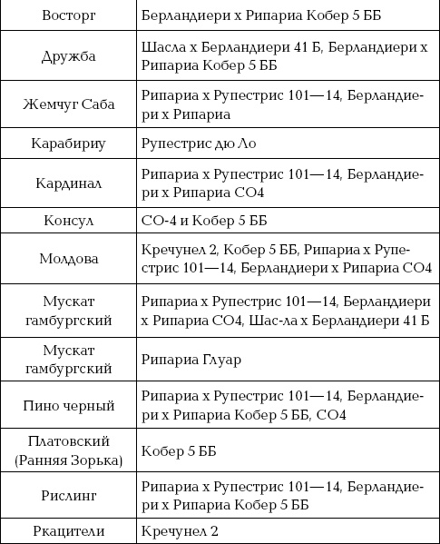 Ваш домашний виноградник