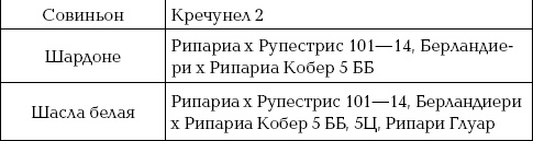 Ваш домашний виноградник