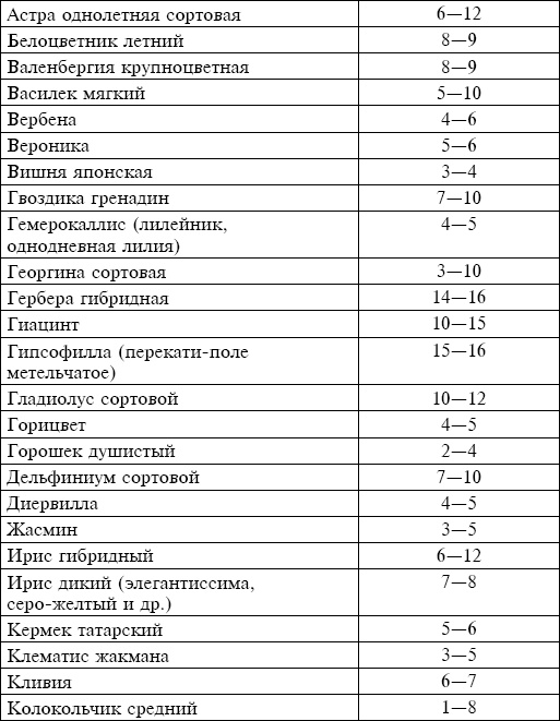 Иллюстрация к книге — Букеты. Искусственные цветы [i_002.jpg]