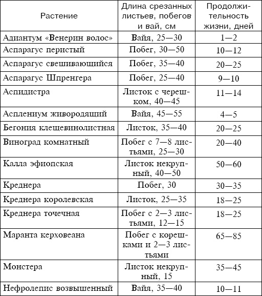 Иллюстрация к книге — Букеты. Искусственные цветы [i_005.jpg]