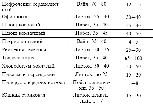 Иллюстрация к книге — Букеты. Искусственные цветы [i_006.jpg]