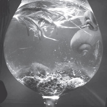 Иллюстрация к книге — Светильники своими руками [autogen_ebook_id46.jpg]