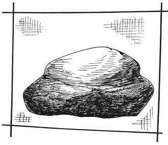 Иллюстрация к книге — Вышиваем гладью цветы и картины [autogen_ebook_id109.jpg]