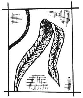 Иллюстрация к книге — Вышиваем гладью цветы и картины [autogen_ebook_id56.jpg]