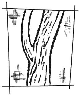 Иллюстрация к книге — Вышиваем гладью цветы и картины [autogen_ebook_id93.jpg]