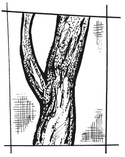 Иллюстрация к книге — Вышиваем гладью цветы и картины [autogen_ebook_id95.jpg]