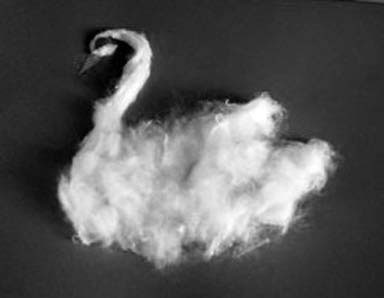 Иллюстрация к книге — Декоративные изделия из природного материала [autogen_ebook_id25.jpg]