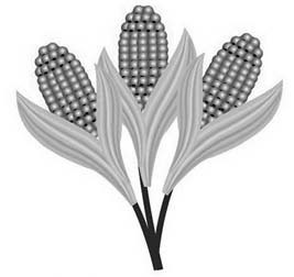 Иллюстрация к книге — Декоративные изделия из природного материала [autogen_ebook_id26.jpg]