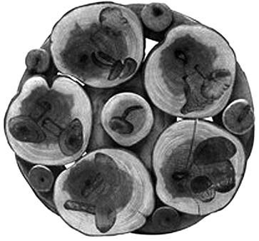 Иллюстрация к книге — Декоративные изделия из природного материала [autogen_ebook_id59.jpg]