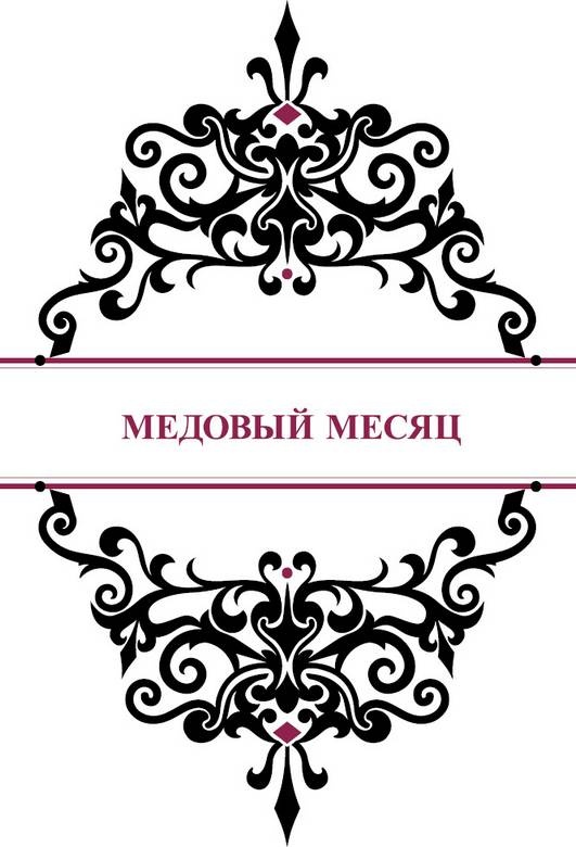Иллюстрация к книге — История реальной любви. Как легко разрешать конфликты и вернуть любовь в отношения [i_013.jpg]