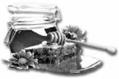 Иллюстрация к книге — 500 советов пчеловоду [i_002.jpg]