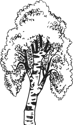 Иллюстрация к книге — Спор животных. С вопросами и ответами для почемучек [i_065.jpg]