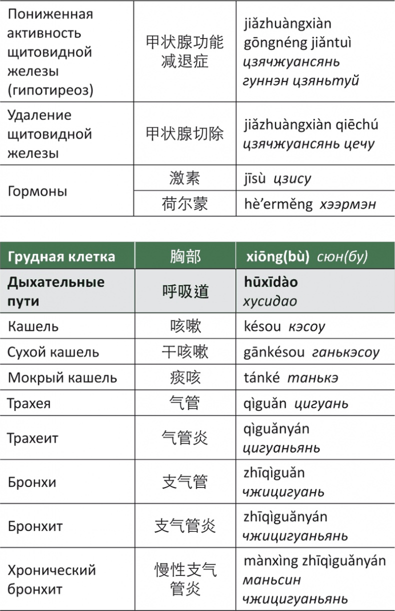 Иллюстрация к книге — Лестница в небо, или Китайская медицина по-русски [i_072.jpg]