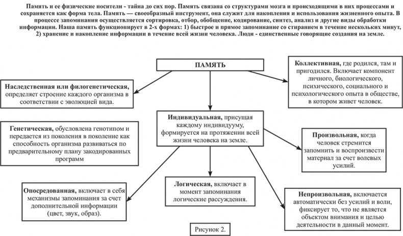 Иллюстрация к книге — Почему мы болеем? Виртуальные реальности болезней и зависимостей. Выход есть! Теория и практика [i_070.jpg]