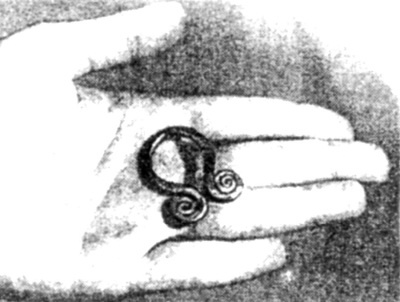 Иллюстрация к книге — Происхождение человека. Инопланетный след [autogen_ebook_id19.jpg]