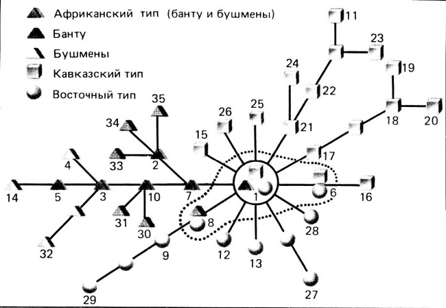 Иллюстрация к книге — Происхождение человека. Инопланетный след [autogen_ebook_id40.jpg]
