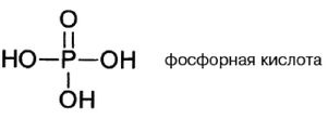 Иллюстрация к книге — Эректус бродит между нами. Покорение белой расы [dnk1.jpg]