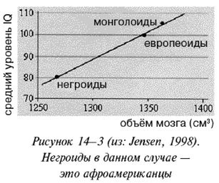 Иллюстрация к книге — Эректус бродит между нами. Покорение белой расы [p143.jpg]