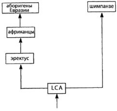 Иллюстрация к книге — Эректус бродит между нами. Покорение белой расы [p193.jpg]