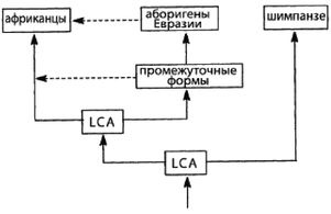 Иллюстрация к книге — Эректус бродит между нами. Покорение белой расы [p194.jpg]