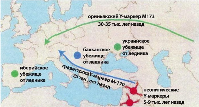 Иллюстрация к книге — Эректус бродит между нами. Покорение белой расы [p246.jpg]