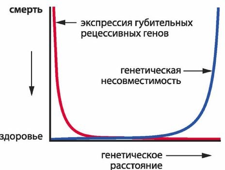 Иллюстрация к книге — Эректус бродит между нами. Покорение белой расы [p301.jpg]