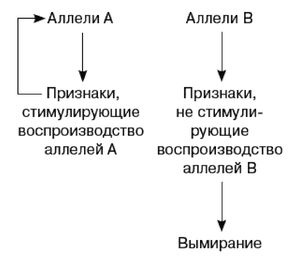 Иллюстрация к книге — Эректус бродит между нами. Покорение белой расы [p81.jpg]