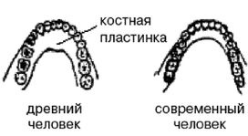 Иллюстрация к книге — Эректус бродит между нами. Покорение белой расы [p927.jpg]