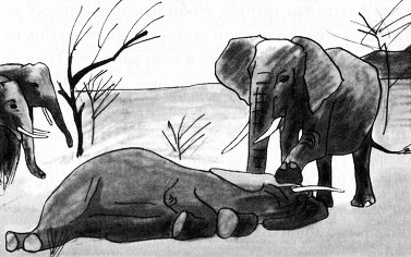 Иллюстрация к книге — Истоки морали. В поисках человеческого у приматов [i_005.jpg]