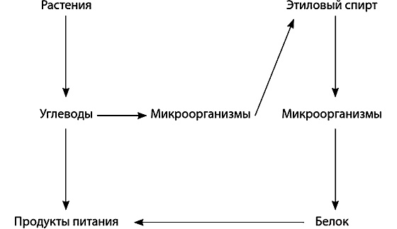 Иллюстрация к книге — Популярно о микробиологии [i_013.jpg]