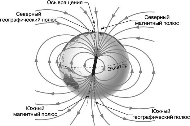Иллюстрация к книге — Жизнь на грани. Ваша первая книга о квантовой биологии [i_001.jpg]