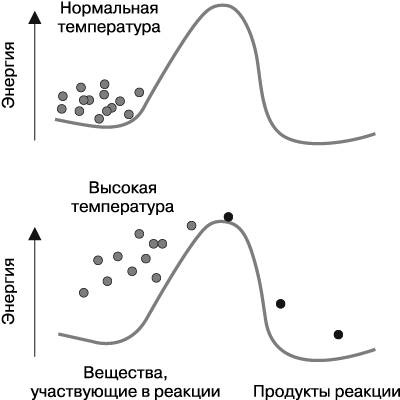 Иллюстрация к книге — Жизнь на грани. Ваша первая книга о квантовой биологии [i_003.jpg]
