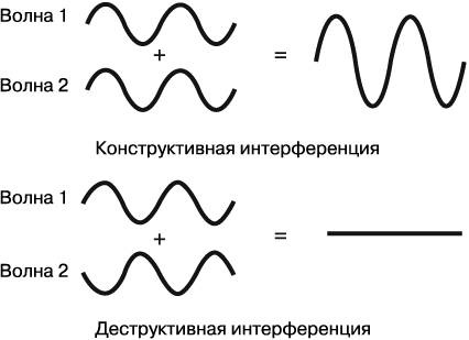 Иллюстрация к книге — Жизнь на грани. Ваша первая книга о квантовой биологии [i_009.jpg]