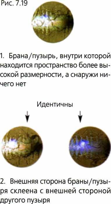 Мир в ореховой скорлупке