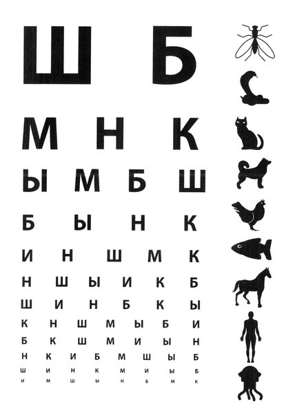 Иллюстрация к книге — Летающие жирафы, мамонты-блондины, карликовые коровы... От палеонтологических реконструкций к предсказаниям будущего Земли [i_008.jpg]