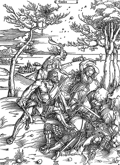Иллюстрация к книге — Стой, кто ведет? Биология поведения человека и других зверей [i_005.jpg]